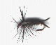 flyblkstone.gif (3330 bytes)
