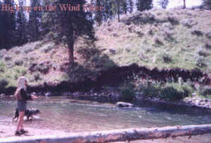 wpe2.jpg (10732 bytes)