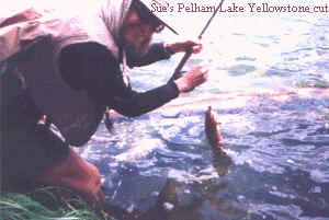 wpe1.jpg (9972 bytes)