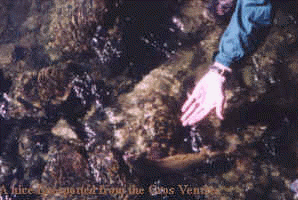 wpe5.jpg (9841 bytes)